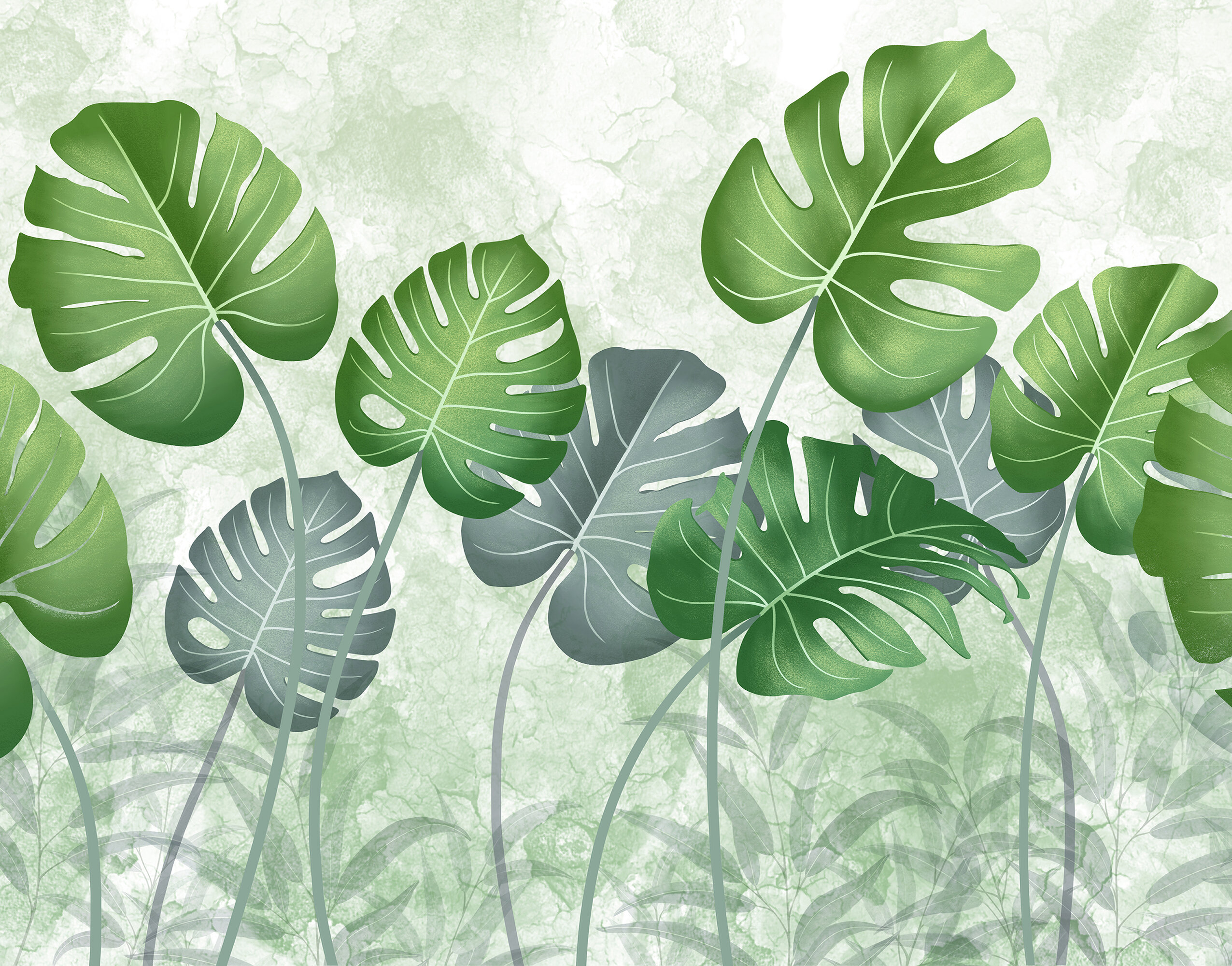 Monstera Yapraklar Yeşil Sadelik Duvar Kağıdı
